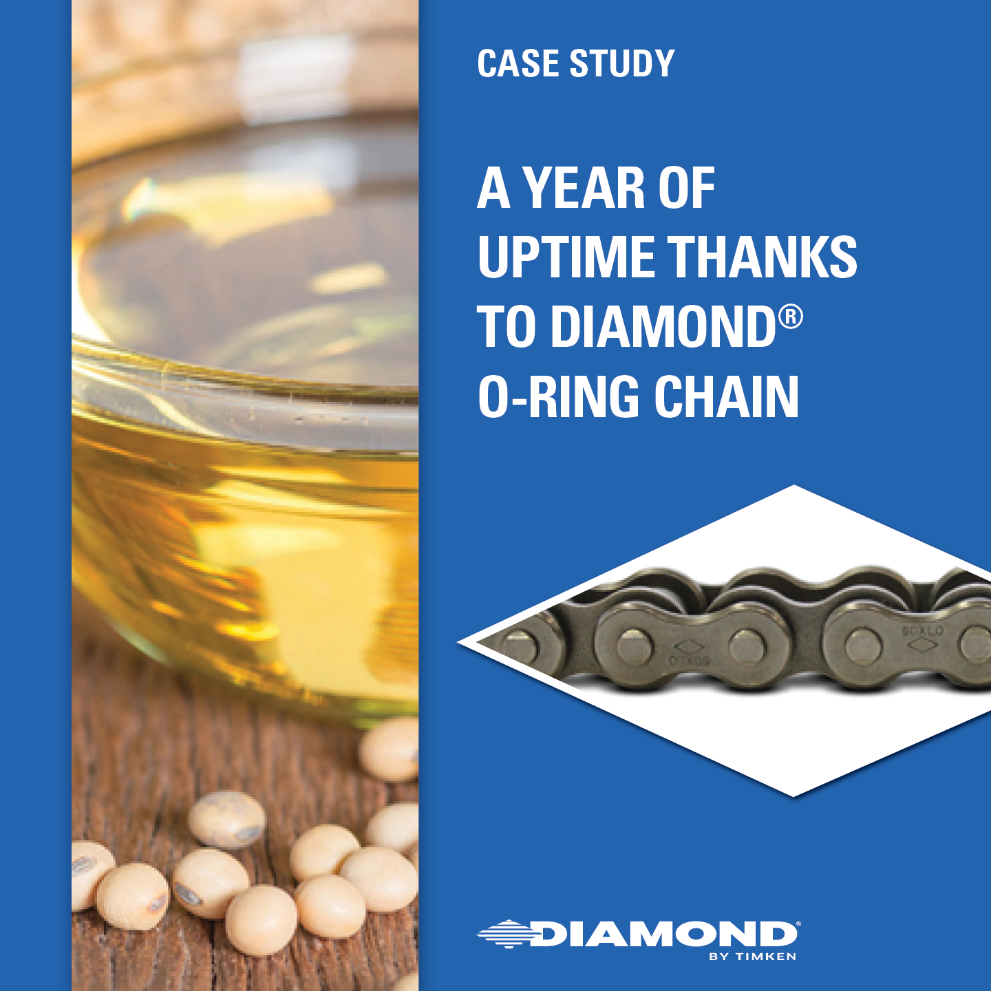 Diamond by Timken Case Study: